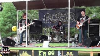 All The Rage Original Song By Half Normal