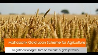 Mahabank Gold Loan Scheme for Agriculture