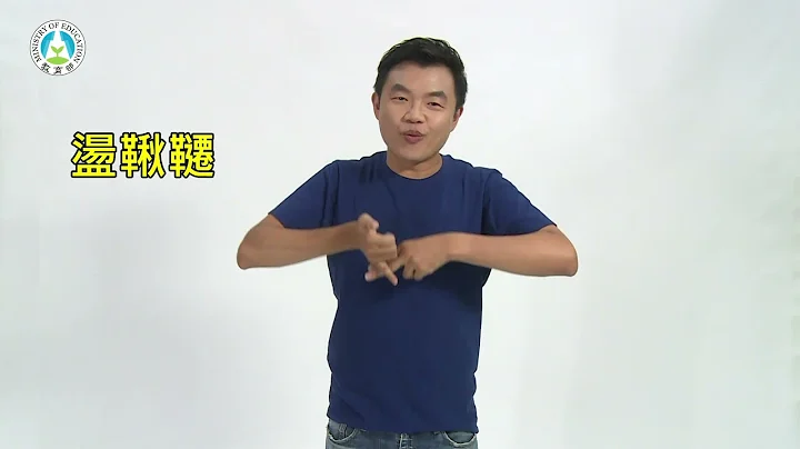 學齡前2至6歲教保服務人員手語手冊│第五單元詞彙18：盪鞦韆 - 天天要聞