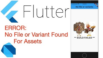Flutter: No File or Variants Found for Asset: XYZ ERROR FIX [DEC 2021]