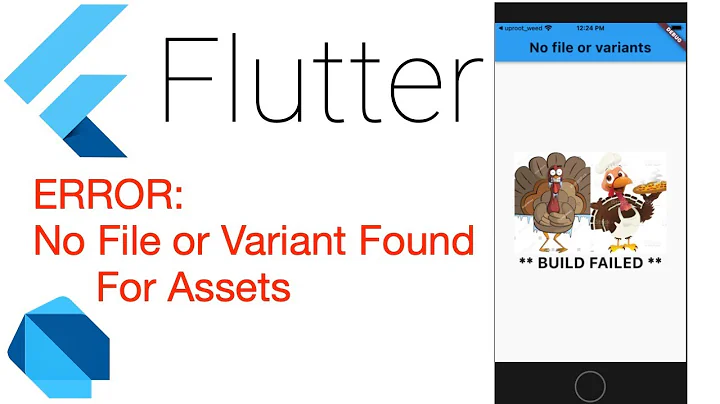 Flutter: No File or Variants Found for Asset: XYZ ERROR FIX [DEC 2021]