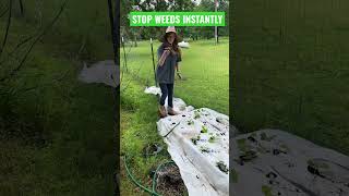 Prevent weeds in your garden gardening plants organic tomatoplants no chemicalsnatural