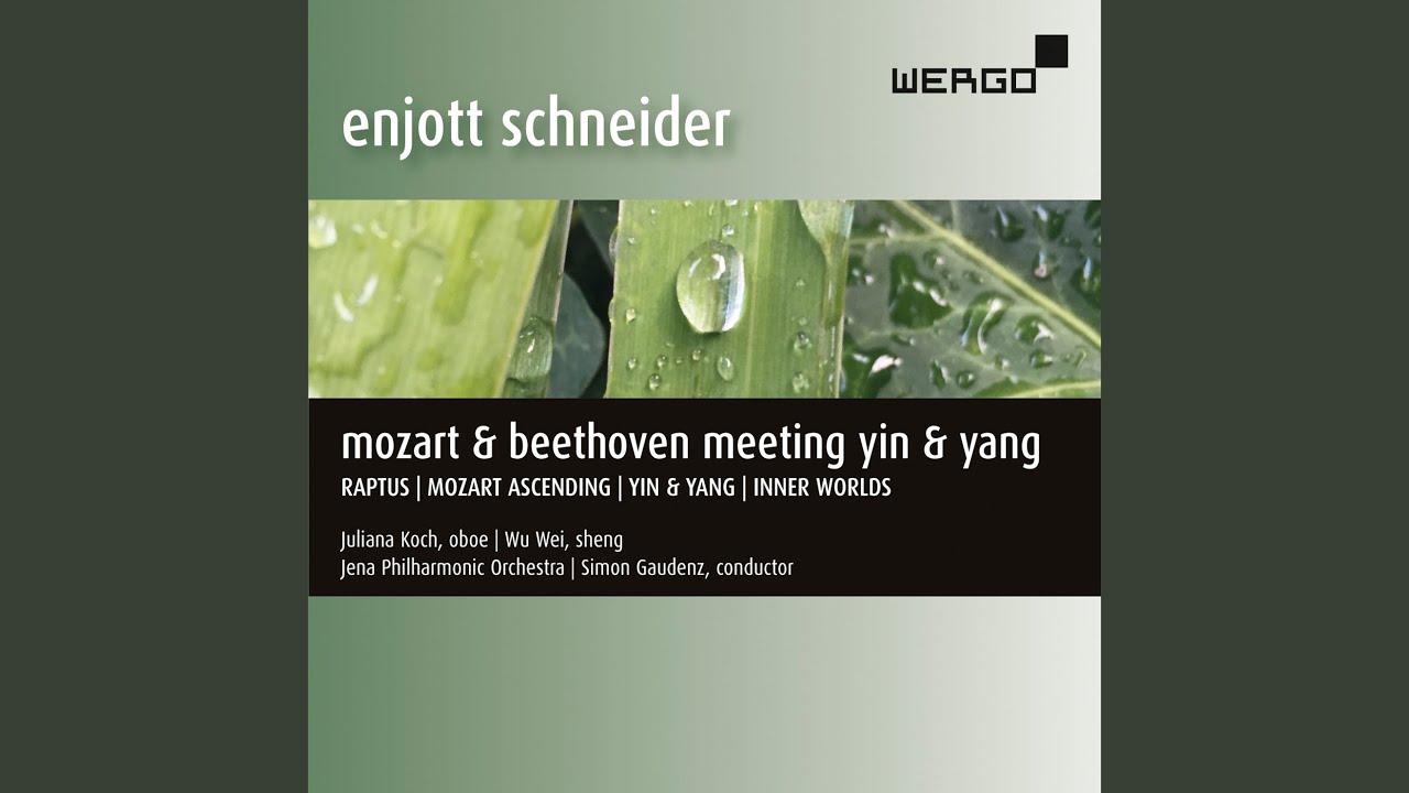 Παρακολούθηση Mozart Ascending (Thoughts About the Unfinished Oboe Concerto KV 293) : Concerto. Allegro στο YouTube