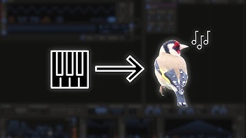 Synthesizing a Goldfinch Sound || Bird Synthesis