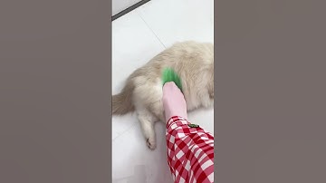 Assemble Revengers! #thatlittlepuff #puffrevenge