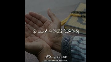 سورة الفاتحة | القارئ شريف مصطفى | تلاوہ بقمة الهدوء🥺🥺💜💚