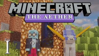 We Tried To Speedrun The Aether in Minecraft THE BEGINNING (#1)