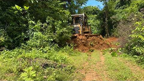 Amazing, the CAT D6R XL Bulldozer Clears a Forest Path in Minutes!
