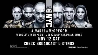 Conor McGregor vs  Eddie Alvarez  full fight Highlights UFC 205via torchbrowser com
