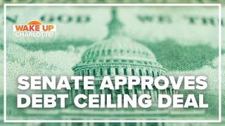 Senate passes debt ceiling bill to avoid 'catastrophic' US default