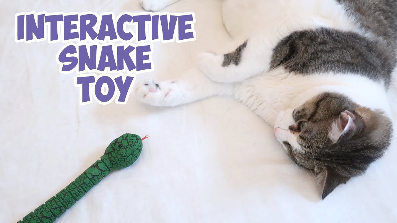 snake cat toy