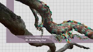 Iszlai - Our Environment Remixed: 01 - Branching Out
