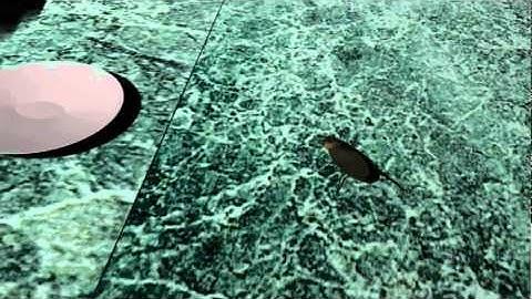 Lightwave animation Test 1