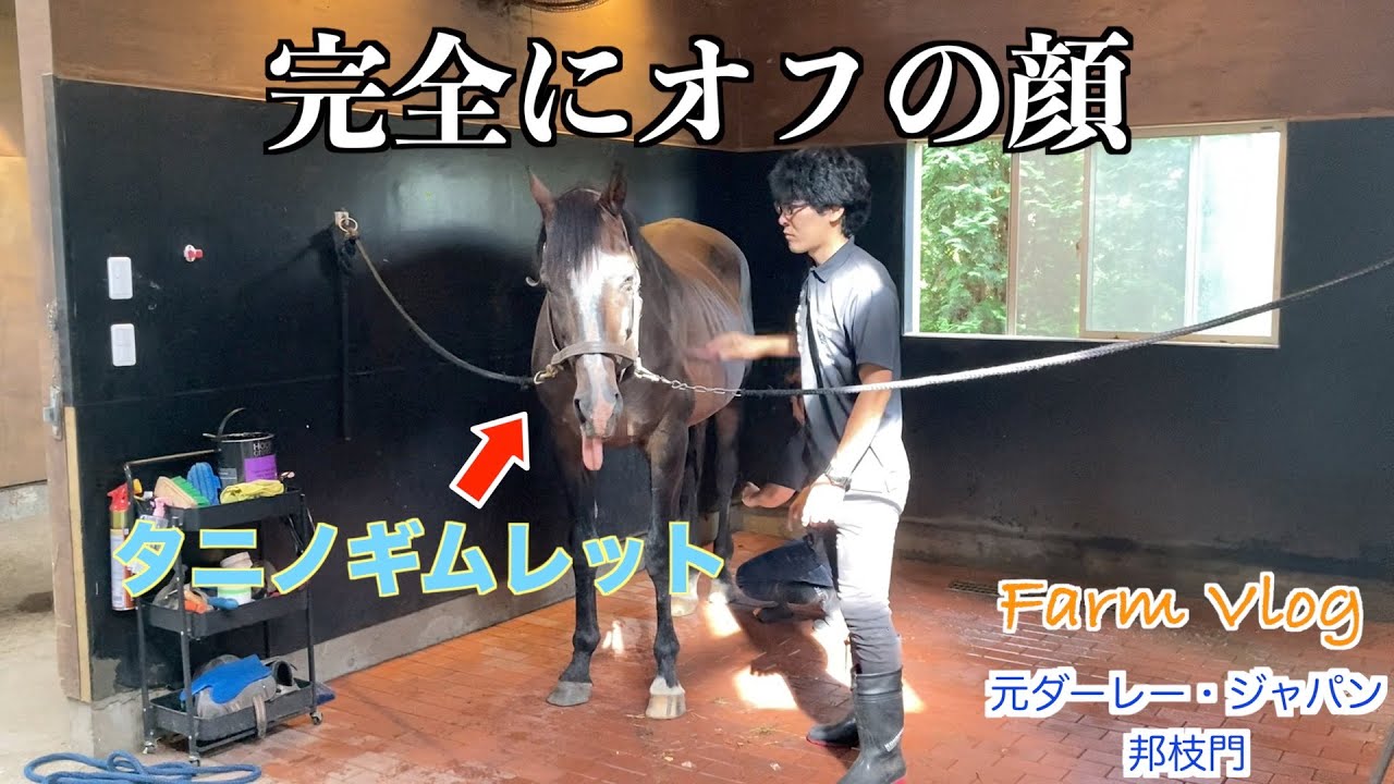 破壊神【タニノギムレット】完全にオフの顔！？55選これまでの総集編vol.3