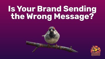 What a Branding Audit Reveals About Your Small Business | Brand Clarity for Small Business Owners