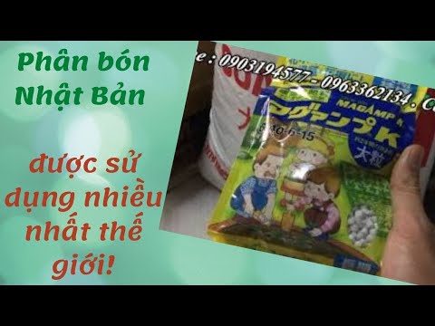 Video: Nhu cầu Phân bón Cây Phong Nhật Bản: Khi nào Bón phân cho Cây Phong Nhật Bản