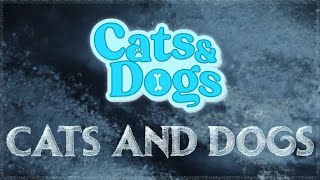 Oyunlaştırılmış Yenilikçi ve Sevimli Proje - Cats & Dogs