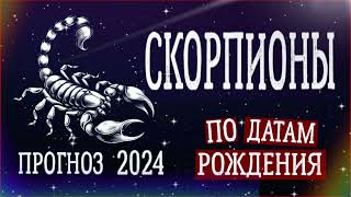 СКОРПИОНЫ по Датам рождения. Нумерологический прогноз на 2024 год.