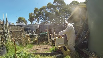 Installing Nuc Hive into Flow Hive