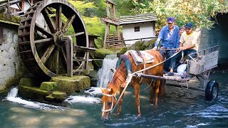 AZERBAIJAN Rural Life  Grandma and Grandpa's WONDERFUL Delicious Day