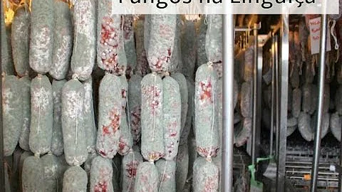 Como saber se o salame está bom?