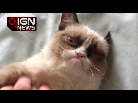 IGN News - Grumpy Cat Lands Movie Deal