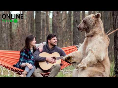 مصورة روسية تتعاون مع دب عملاق لإنتاج صور خيالية