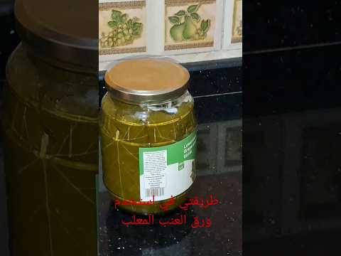 طريقة تحضير ورق العنب المعلب