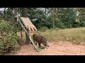 Build Wild boar Trap Using Big Palm tree Fall in to Deep Hole #wildanimal #shortvideo