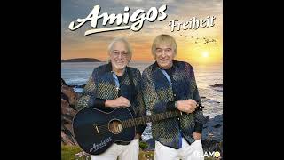 Nachts in ihren Träumen Die Amigos