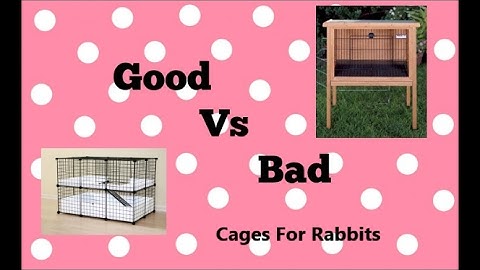 Good vs Bad Cages For Rabbits