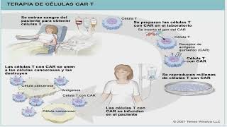 Informacion sobre CAR T Cell Therapy | LRF Webinars
