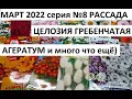 Март 2022 серия №8 Целозия гребенчатая. Агератум и др)).