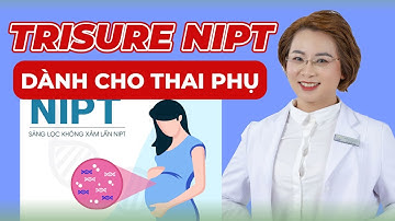 Sàng Lọc Dị Tật Trước Sinh | Xét Nghiệm Trisure Nipt Dành Cho Thai Phụ | Bác Sĩ Hồng Hạnh