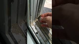 Çekirge Bu. Zıplar