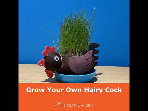 Grow Your Own Hairy Cockerel