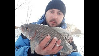 ТРОФЕЙНЫЙ ХАРИУС. РЫБАЛКА НА ХАРИУСА В МАРТЕ, ПО ОТКРЫТОЙ ВОДЕ.