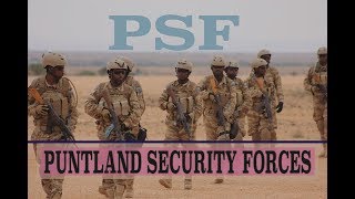 Maxaad Ka Taqaan Ciidamada Puntland Security Force Psf Ee Mareykanku Maalgaliyo?
