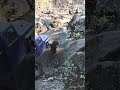 rock crawling RC: midiendo fuerzas...#injora #hobbywing #hobbywing #axial# power wagon, JK Rock Race