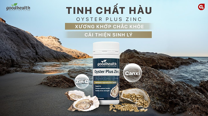 So sánh oyster plus và oyster complete năm 2024