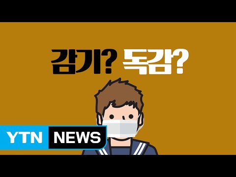 감기와 독감은 다르다 / YTN (Yes! Top News)