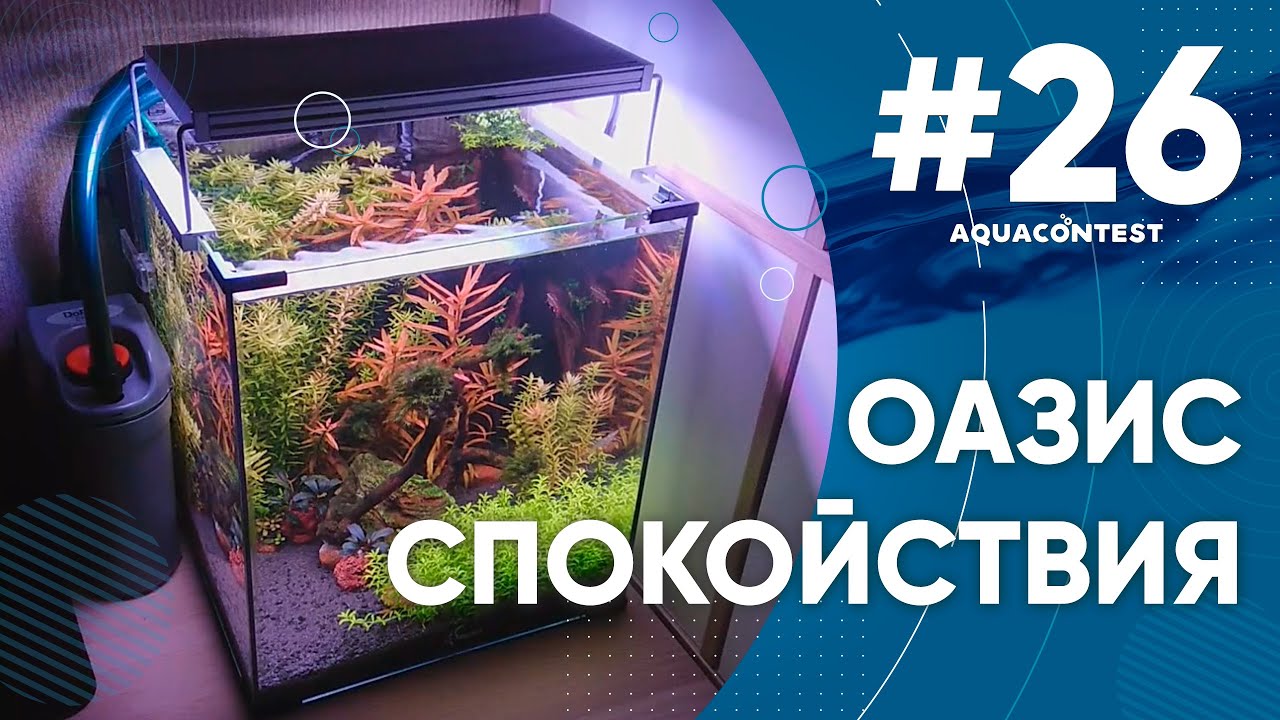 Оазис спокойствия 