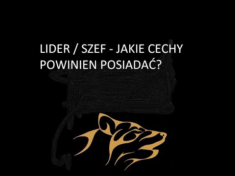 Wideo: Jakie Cechy Powinien Mieć Szef?