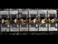 The Ultimate Cashew Shelling Solution: Cashew Cutting Machine / Cashew Shelling Machine