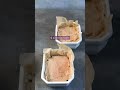 Recette de la terrine de foie gras - Pourdebon