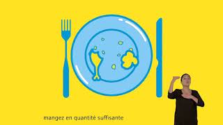 PLAN CANICULE