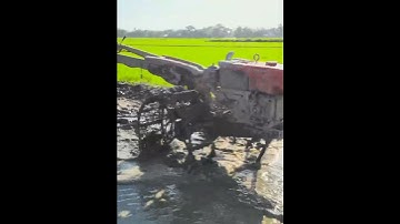 Mini farm tractor plowing in mud farm field for rice agriculture (873) #shorts