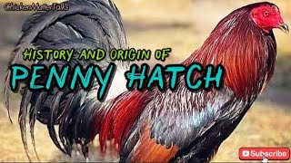The Origin and History of Penny Hatch Gamefowl