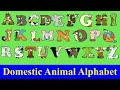 Domestic animals for kids  alphabet animal az  az pet animals  alphabetimals abc  farm animals