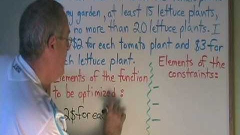 Linear Programming: Elements of the Constraints and of the Function to be Optimized